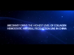 MICONVEY 회사 소개